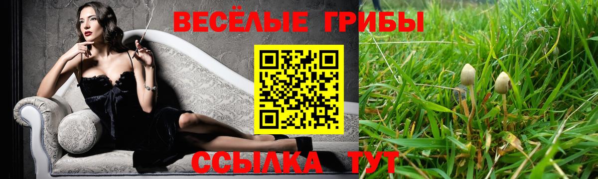 Галлюциногенные грибы Psilocybine cubensis Джанкой